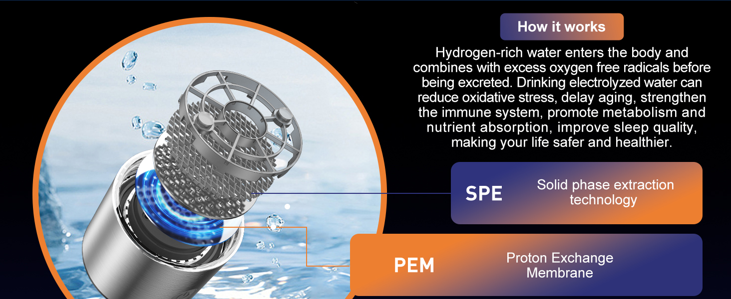 5541496f-b5e4-4807-87af-7749df5729a0.__CR0,0,1464,600_PT0_SX1464_V1___